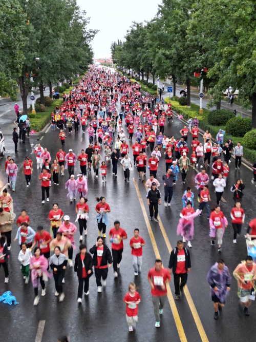 边重点开发, om, 西北地区首 边重点开发, om, 西北地区首